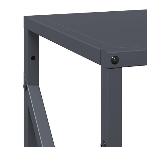 VidaXL Stojak na drewno opałowe antracyt 34x25x100 cm