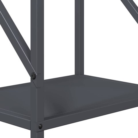 VidaXL Stojak na drewno opałowe antracyt 34x25x100 cm