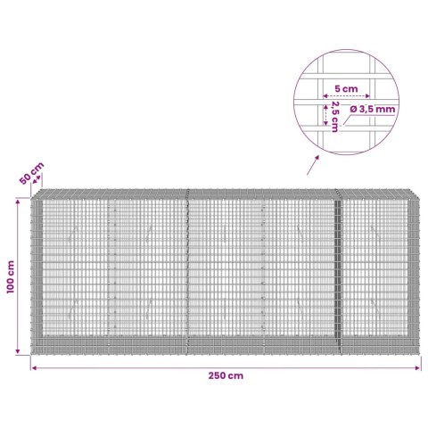 VidaXL Gabion z drutu 3,5 mm i siatką 5x2,5 cm 250x50x100 cm