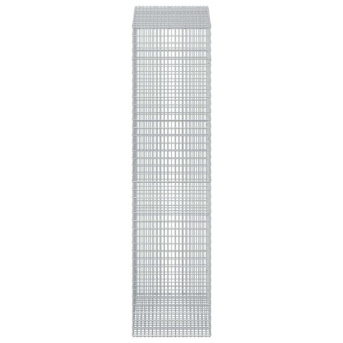 VidaXL Gabion z drutu 3,5 mm i siatką 5x2,5 cm 50x100x200 cm