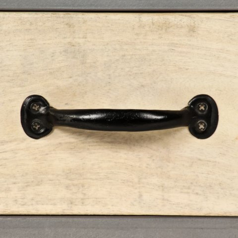 SZAFKA POD TELEWIZOR DREWNO MANGO I STAL 120X30X45CM