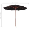 PARASOL OGRODOWY NA DREWNIANYM SŁUPKU 300X258CM CZARNY