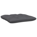 2-OSOBOWA SOFA OGRODOWA Z PODUSZKAMI BIAŁA DREWNO SOSNOWE