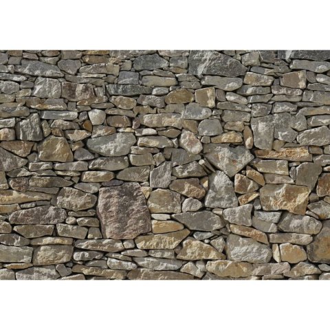 FOTOTAPETA STONE WALL 368X254CM 8-727