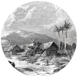 OKRĄGŁA FOTOTAPETA LANDSCAPE OF GUADELOUPE 190CM