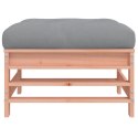 PODNÓŻEK OGRODOWY Z PODUSZKĄ DREWNO DAGLEZJOWE