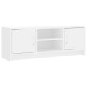 SZAFKA POD TV, BIAŁA, 102X30X37,5 CM, MATERIAŁ DREWNOPOCHODNY