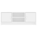 SZAFKA POD TV, BIAŁA, 102X30X37,5 CM, MATERIAŁ DREWNOPOCHODNY