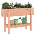 DONICA OGRODOWA NA NÓŻKACH 101X30X69CM DREWNO DAGLEZJI