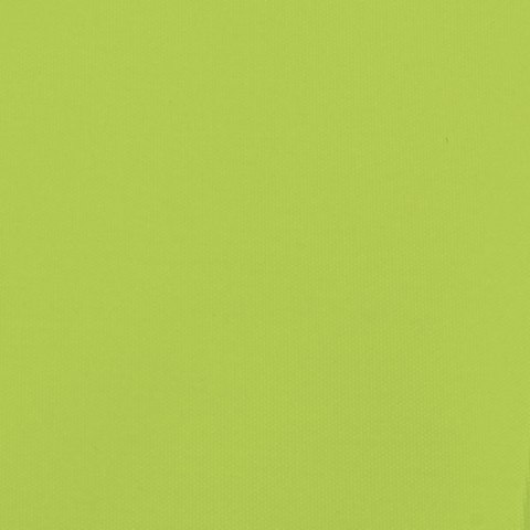 PRZYCZEPKA ROWEROWA CZARNO-ZIELONY 45KG ŻELAZO