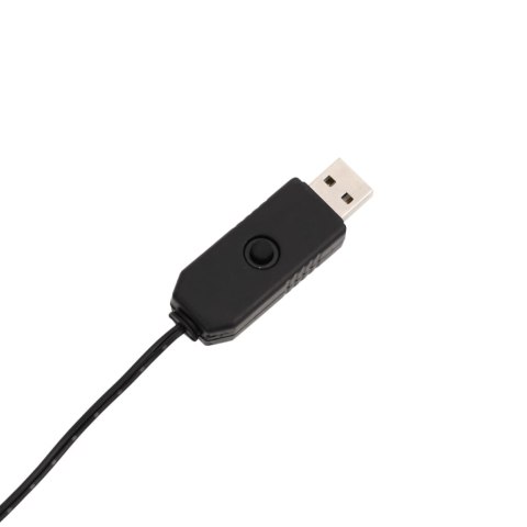 GWIAZDA BETLEJEMSKA ZE SZPIKULCAMI 80 LED 62CM