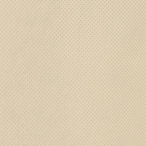 KAPTUR ZIMOWY OCHRONNY NA ROŚLINY OCHRONA MRÓZ 70G/M² 3,93X3M