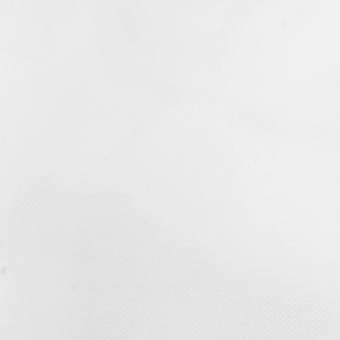 KAPTUR KAPTURY ZIMOWE OCHRONNE NA ROŚLINY OCHRONA 4 SZT 70G/M² 0,8X1M