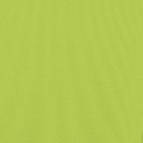 PRZYCZEPKA ROWEROWA CZARNO-ZIELONY 45KG ŻELAZO