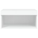 SZAFKA POD TV Z OŚWIETLENIEM LED BIAŁA 60X30X30CM