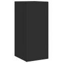 ŚCIENNA SZAFKA TV Z LED CZARNA 30,5X35X70CM