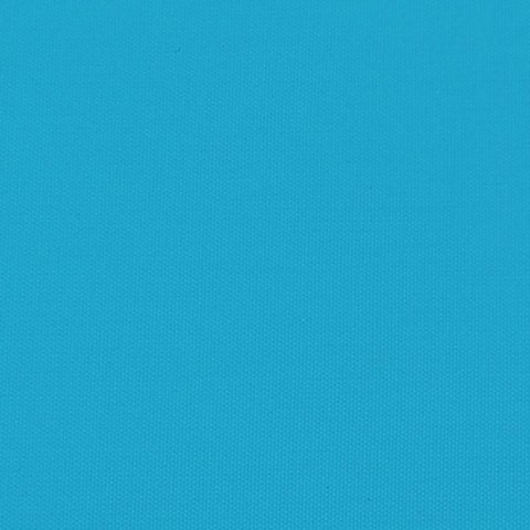 PRZYCZEPKA ROWEROWA CZARNO-NIEBIESKA 30KG ŻELAZO