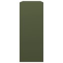 STOJAK NA DREWNO OPAŁOWE ZIELONY 100X40X100CM STALOWY