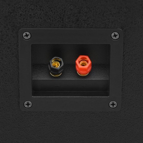 PROFESJONALNE SCENICZNE GŁOŚNIKI PASYWNE FI 2 SZT. 800 W