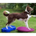 FITPAWS PLATFORMA RÓWNOWAŻNA DLA ZWIERZĄT K9FITBONE PVC BŁĘKITNA