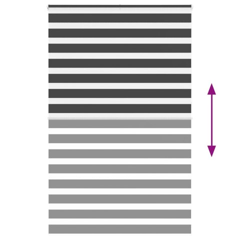 ROLETA ZEBRA CZARNA SZEROKOŚĆ TKANINY 135,9CM POLIESTER