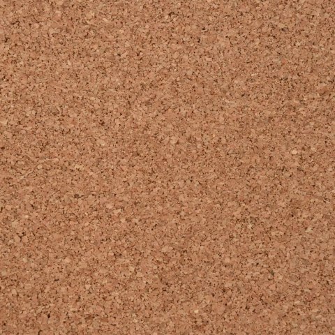 MATA KORKOWA W ROLCE 100X1000CM 2MM