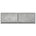 SZAFKA RTV BETONOWA SZARA 80X31X25,5CM DREWNO KLEJONE