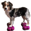 FitPAWS Platforma równoważna Mini K9FITbone, 2 szt., 29x16,5x6 cm