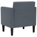 VidaXL Sofa Fotel z Podłokietnikami Ciemnoszary 53 cm Aksamit