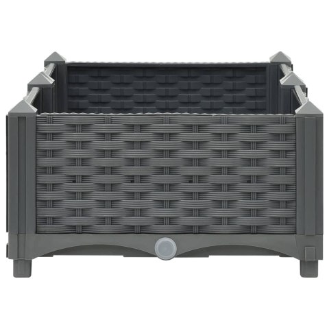 DONICA DO PODNIESIONEJ RABATY 80X40X23CM POLIPROPYLEN