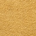 RĘCZNICZKI PREMIUM SOLUND 10 SZT. ZŁOTE 30X50CM