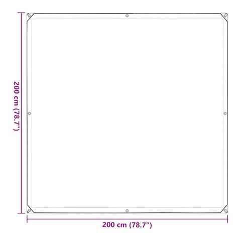 PRZEZROCZYSTA PLANDEKA Z OCZKAMI 2X2M POLIETYLEN