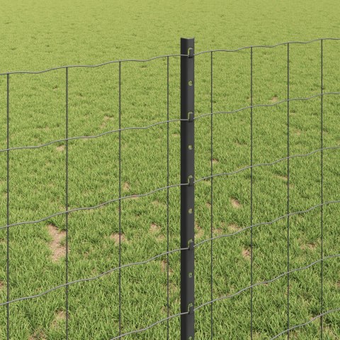 PŁOT EURO Z 10 SŁUPKAMI SZARY 1X10M STAL