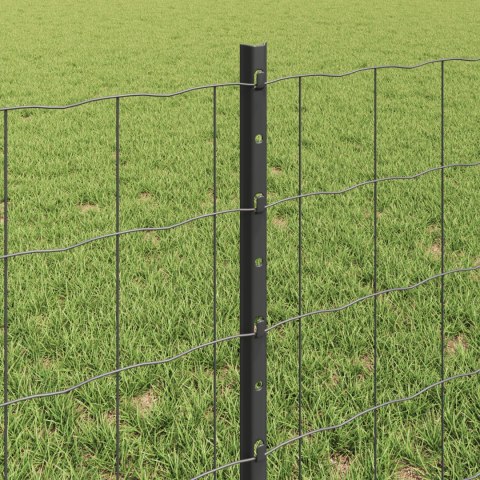 VidaXL Płot z 22 słupkami szary 0,6x50 m stal