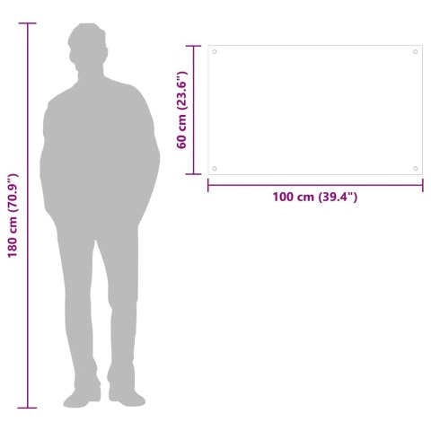 PANEL OCHRONNY DO KUCHNI PRZEZROCZYSTY 100X60CM SZKŁO
