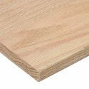 STOPNIE SCHODOWE 12 SZT. SUROWE 120X25X2CM LITE DREWNO DĘBOWE