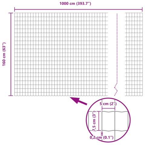 EURO PŁOT Z 10 SŁUPKAMI SREBRNY 1,6X10M STAL