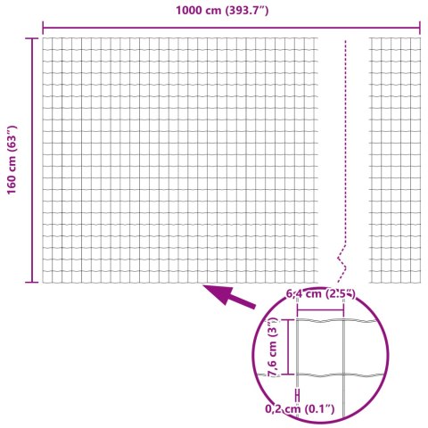 EURO PŁOT Z 10 SŁUPKAMI SREBRNY 1,6X10M STAL