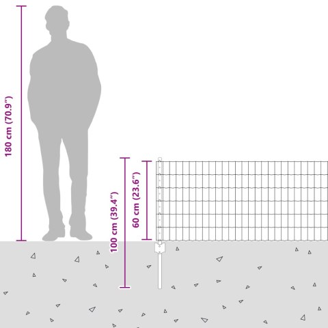 EURO PŁOT Z 11 SŁUPKAMI SREBRNY 0,6X50M STAL