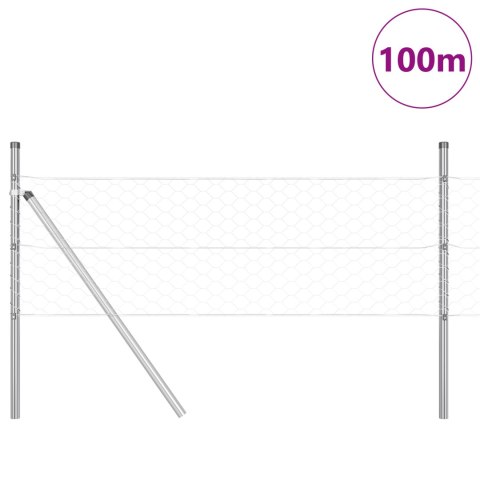 PŁOT SZEŚCIOKĄTNY 0.8X100M STAL OCYNKOWANA SŁUPKI PŁOTU 13 SZT. Ø32MM 120CM STAL OCYNKOWANA