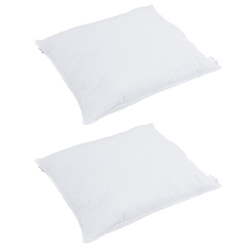 VidaXL Poduszki 2 pcs Biały 60 x 60 cm 130gsm 100% bawełna