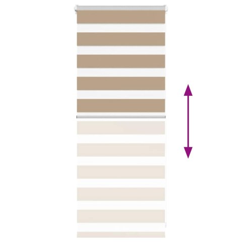 VidaXL Roleta zebra, 55x100 cm, szerokość tkaniny 50,9 cm, poliester