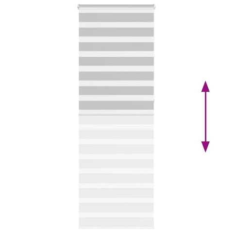 VidaXL Roleta zebra, jasnoszara, szerokość tkaniny 70,9 cm, poliester