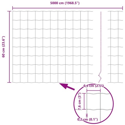 EURO OGRODZENIE 0.6X50M STAL OCYNKOWANA
