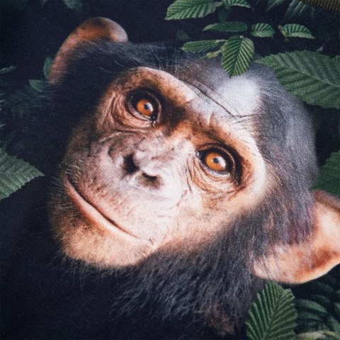 BLUZA DZIECIĘCA KHAKI 116