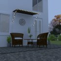 MARKIZA ZWIJANA Z LED 250X150CM ANTRACYTOWA