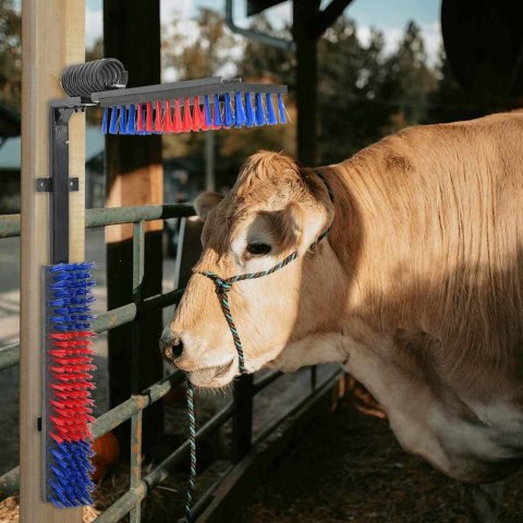 SZCZOTKI DO BYDŁA CZERWONY I NIEBIESKI 84X 10X 91CM