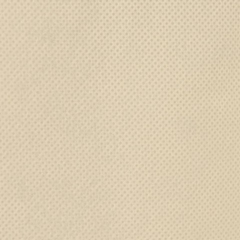 KAPTUR OCHRONNY NA ROŚLINY OCHRONA PRZED MROZEM 10 SZT. 70G/M² 1,2X1,8M