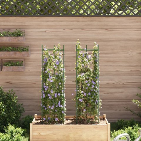 VidaXL Podpórki na pomidory, 2 szt., 116 cm, stal i PP