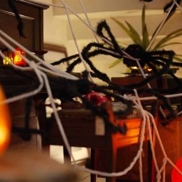 PAJĄK 2 SZT. CZARNY I BIAŁY 200CM POLIESTER